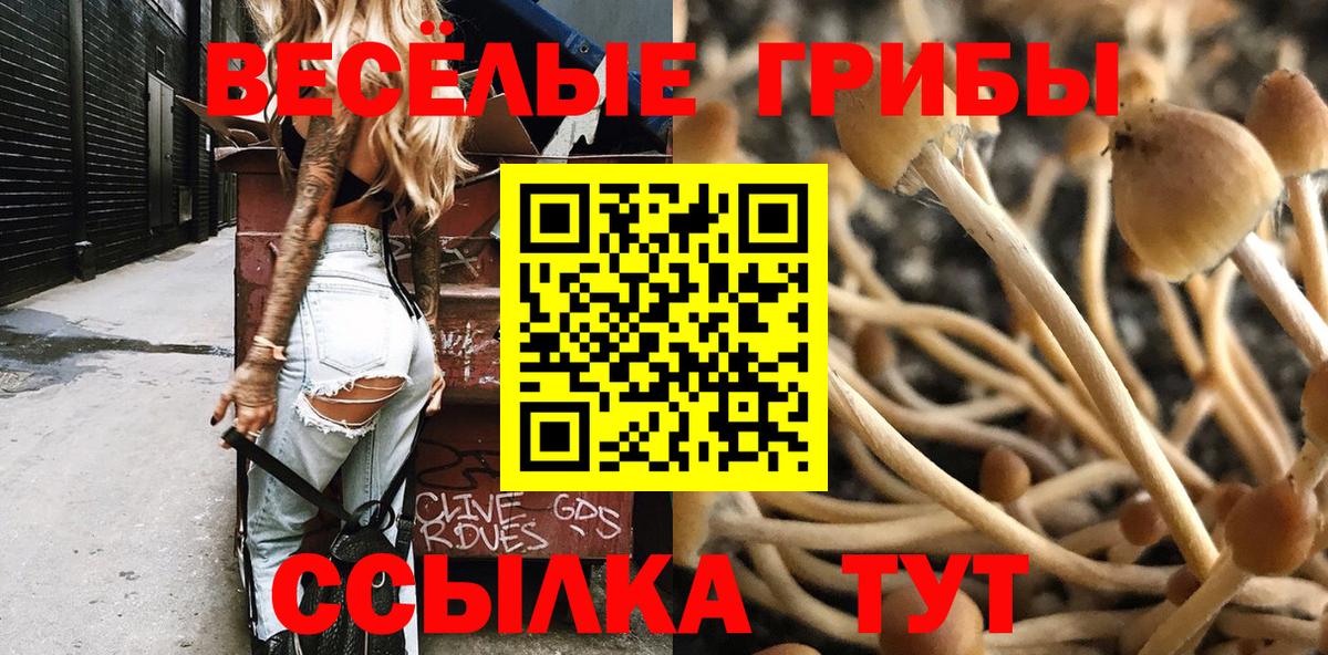 Вязники  Псилоцибиновые грибы мицелий  Вход с VPN 