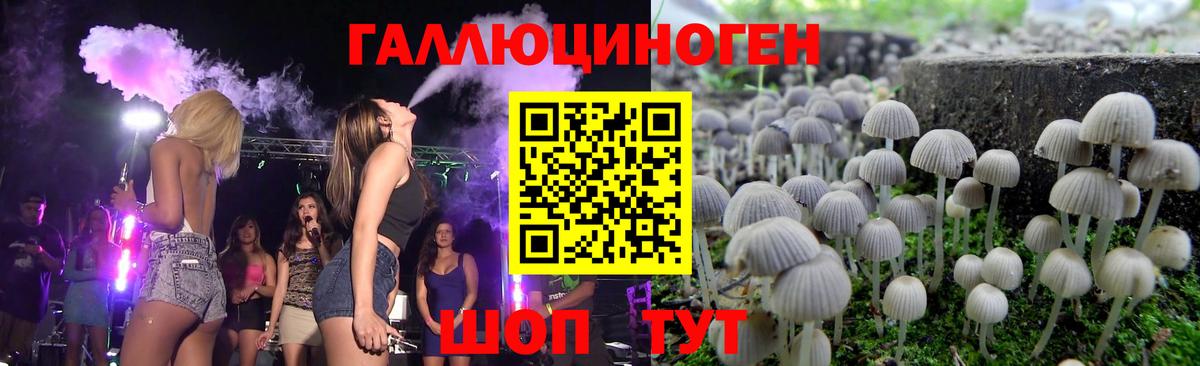 Псилоцибиновые грибы прущие грибы Вязники